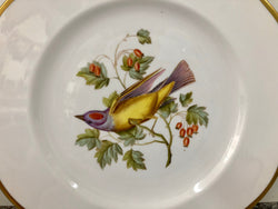 Moonee Ponds Antiques Spode Audubon Bird Plate "Arkansas Kingbird #7"