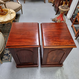 Unique pair of Victorian mahogany bedsides with one fixed shelf. Sourced locally and in good original detailed condition.