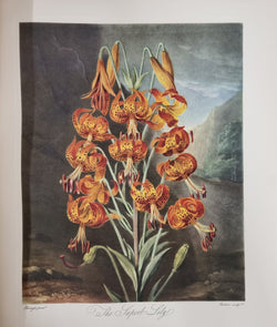 Thorntons Temple Of Flora With Coloured & Collotype Plates | Antique & Vintage | Moonee Ponds Antiques | Australia Wide Delivery