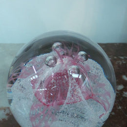 Caithness Paper Weight