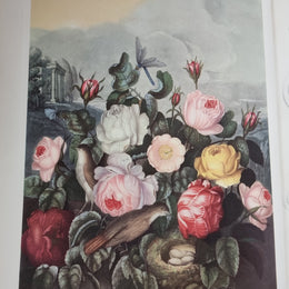Thorntons Temple Of Flora With Coloured & Collotype Plates