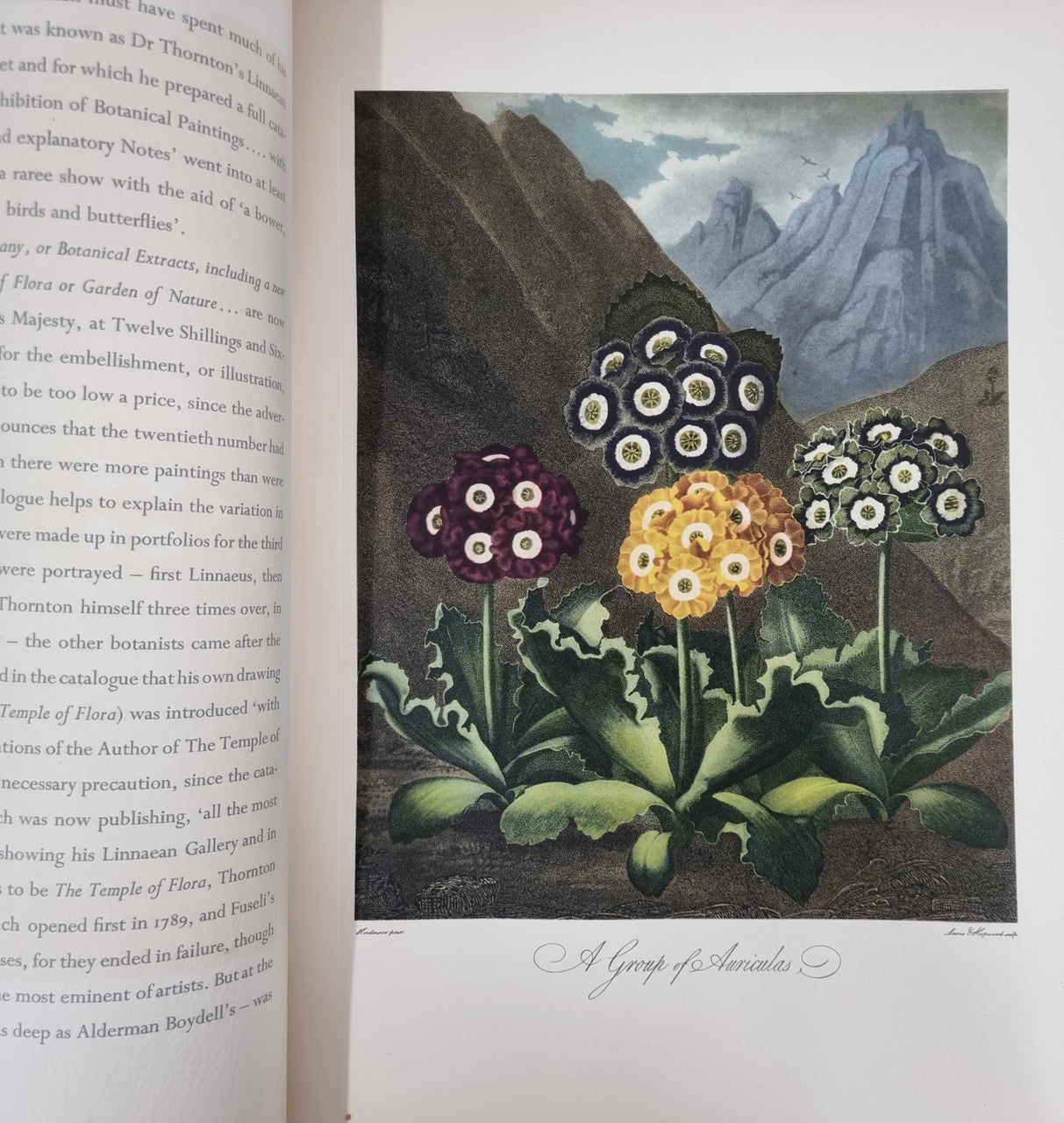 Thorntons Temple Of Flora With Coloured & Collotype Plates