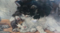 An Original Pears Print Of Kittens Playing | Antique & Vintage | Moonee Ponds Antiques | Australia Wide Delivery