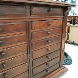 French Walnut Specimen Cabinet | Antique & Vintage | Moonee Ponds Antiques | Australia Wide Delivery
