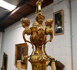 French Napoleon III Gilt Bronze Chandelier | Antique & Vintage | Moonee Ponds Antiques | Australia Wide Delivery