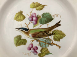 Spode Audubon Bird Plate "Red-eyed Vireo" | Antique & Vintage | Moonee Ponds Antiques | Australia Wide Delivery