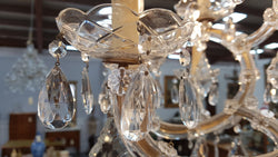 Elegant French Parisian Chandelier | Antique & Vintage | Moonee Ponds Antiques | Australia Wide Delivery